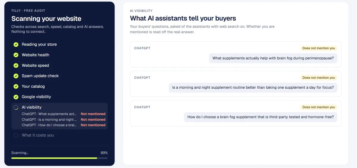 The free audit checking Google visibility and whether AI assistants mention the store