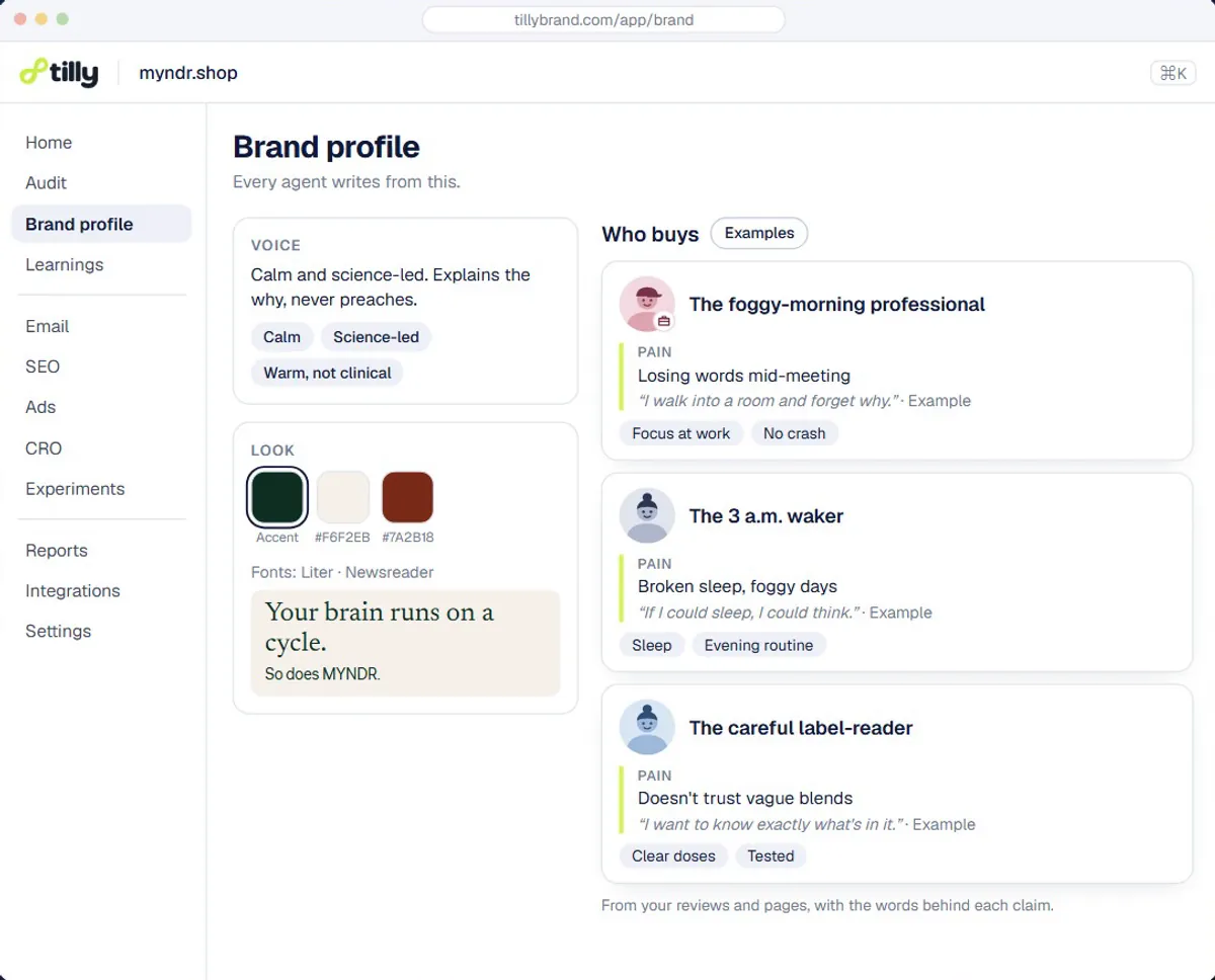 Customer personas in the brand profile, built from what reviews and product pages say