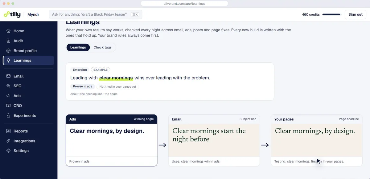 Learnings: what won in ads carried into email subject lines and page headlines